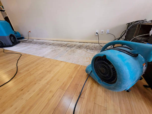 Professional Water Damage Repair technician working in Fairchild Air Force Base, WA